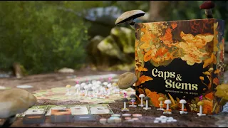 Caps & Stems: The Mushroom Hunting Board Game