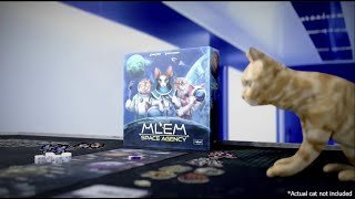 MLEM: Space Agency