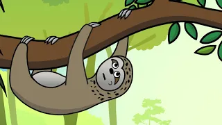 Reckless Sloths